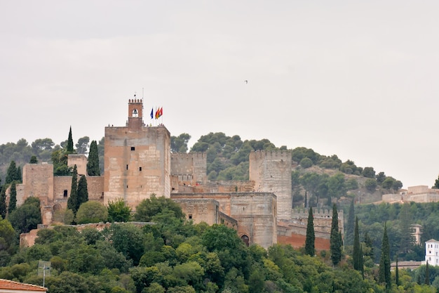 Uitzicht op de historische stad Granada Andalusië Spanje