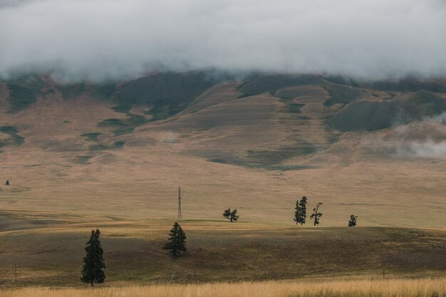 Uitzicht op de Kurai-steppen in het Altai-gebergte