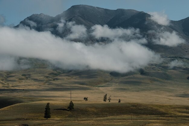 Uitzicht op de Kurai-steppen op Chuisky Trakt in het Altai-gebergte