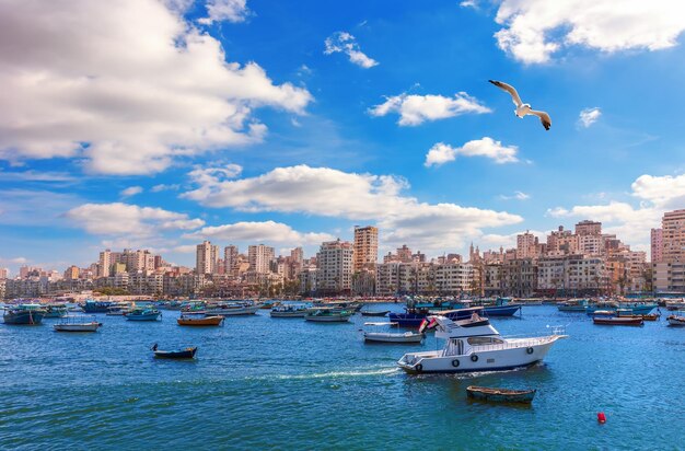 Uitzicht op de kust van Alexandrië typische gebouwen en de Middellandse Zee van Egypte