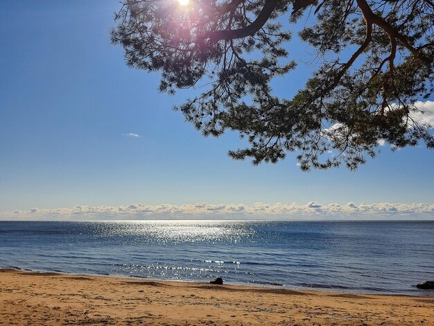 Uitzicht op de kustlijn van de Baltische Zee Litouwen Prachtige zeekust op zonnige zomerdaggolven van de zeeLandschap van Lets natuurlandschapWindweerFinse Golf