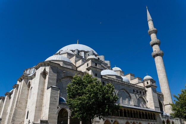 Uitzicht op de moskee van onderaf met een boom in Istanbul