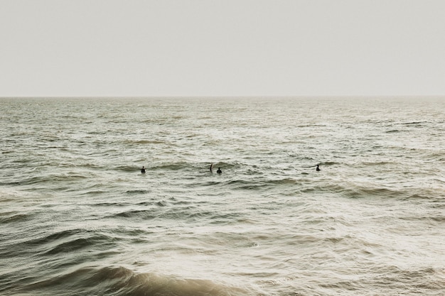 Uitzicht op de oceaan in Californië