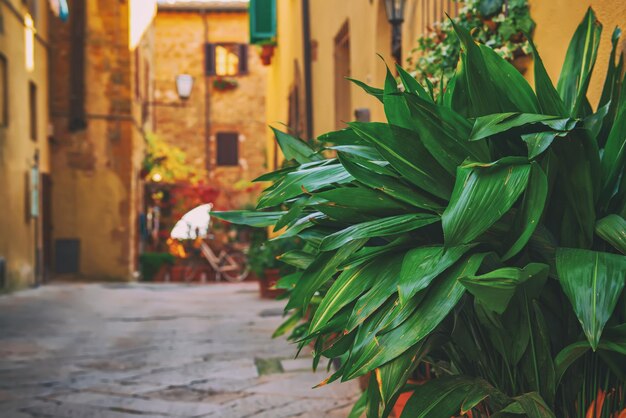 Uitzicht op de oude oude Europese stad. Straat van Pienza, Italië. Reizen vintage achtergrond met kopie ruimte.