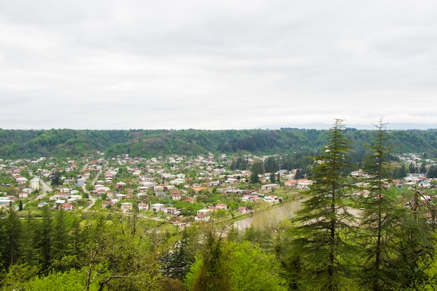 Uitzicht op de oude stad en het stadscentrum en het landschap in Georgië. Tsalenjikha stad.