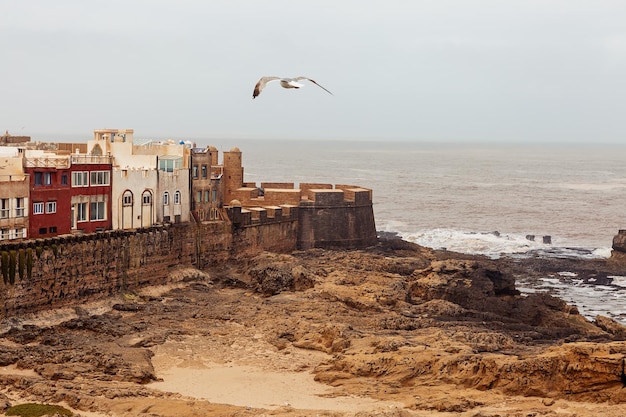 Uitzicht op de oude stad van Essaouira in Marokko