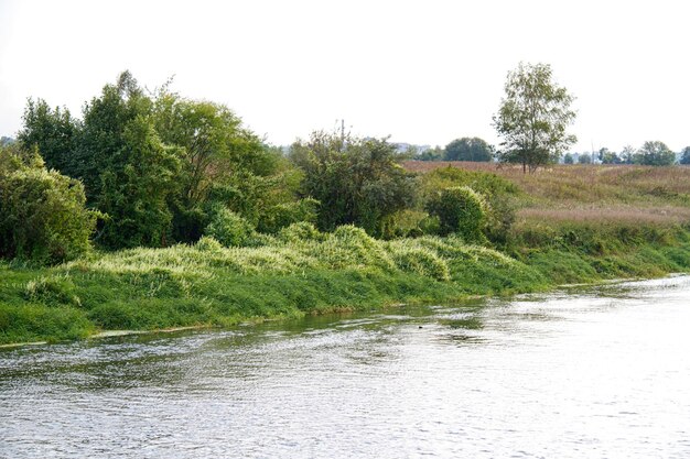 Uitzicht op de prachtige rivier en het bos