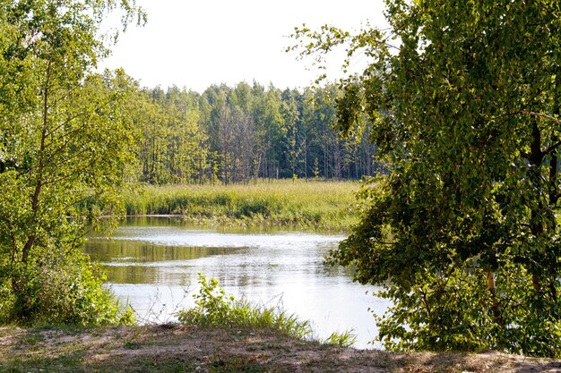 Uitzicht op de prachtige rivier en het bos