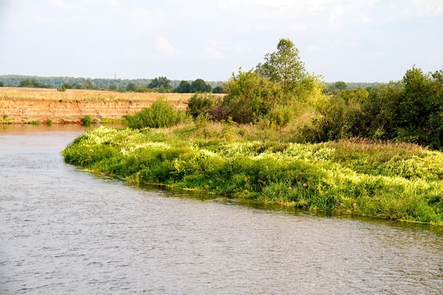 Uitzicht op de prachtige rivier en het bos