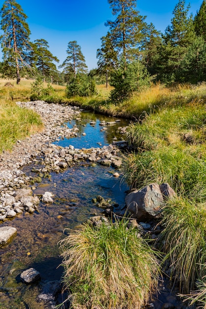 Foto uitzicht op de rivier de crni rzav op de berg zlatibor in servië