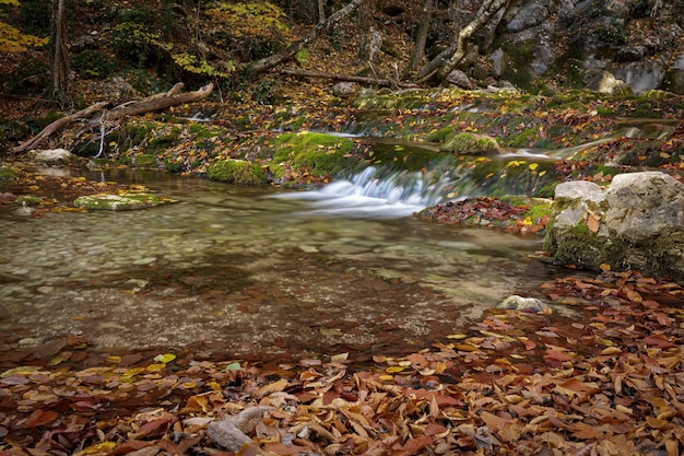 Uitzicht op de rivier die in de herfst uit een bergwaterval stroomt. Natuur.