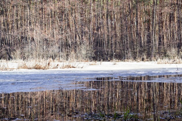 Uitzicht op de rivier met smeltend ijs in het bos Landschap Natuur