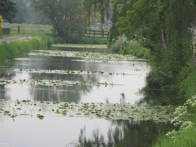 Foto uitzicht op de rivier