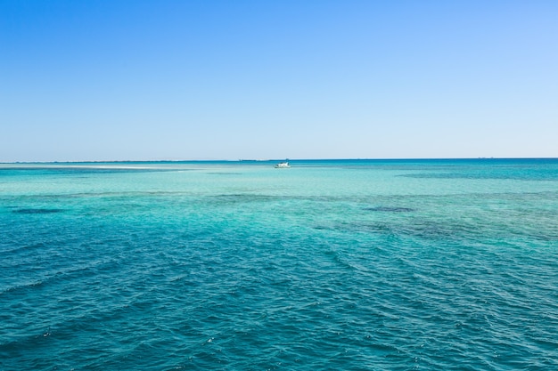 Uitzicht op de schone en heldere rode zee in Egypte