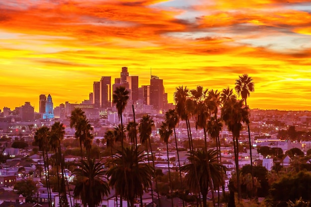 Uitzicht op de skyline van het centrum van los angeles met palmbomen bij zonsondergang in californië, verenigde staten