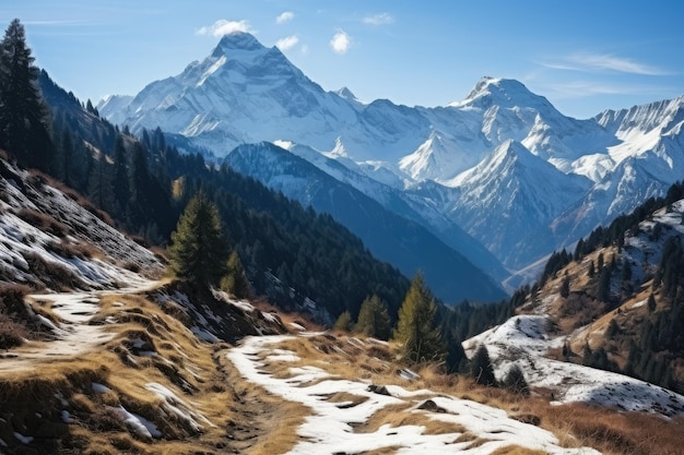 Uitzicht op de sneeuwberg in de winter vanaf de boskant