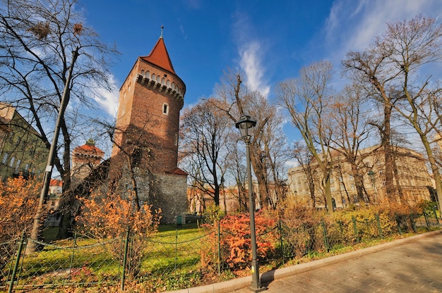 Uitzicht op de stad Krakau in Polen