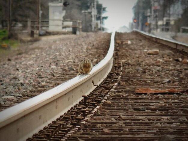 Uitzicht op de steeg