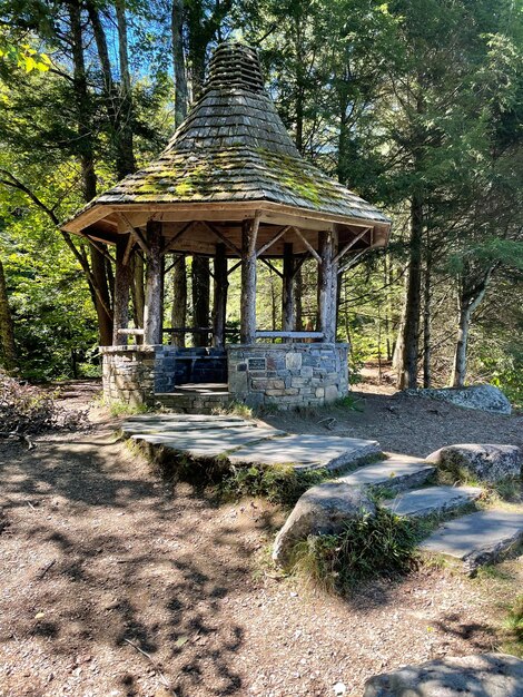 Foto uitzicht op de tempel