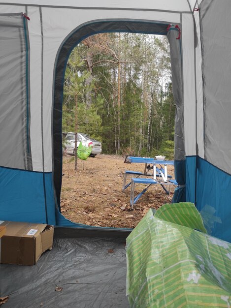 Uitzicht op de tent door planten