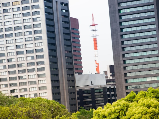 Uitzicht op de Tokio.