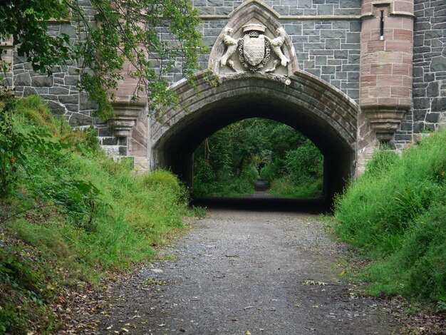 Foto uitzicht op de tunnel langs de bomen