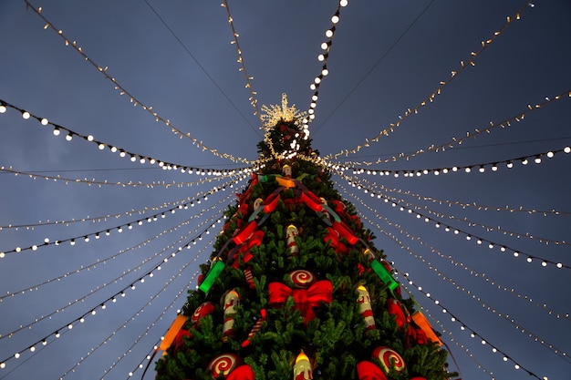 Uitzicht op de versierde kerstboom