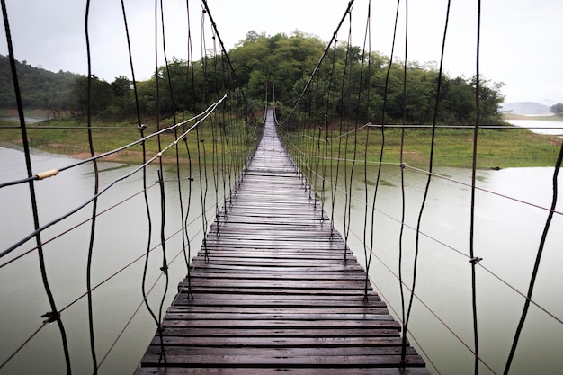 Foto uitzicht op de voetgangersbrug langs de planten