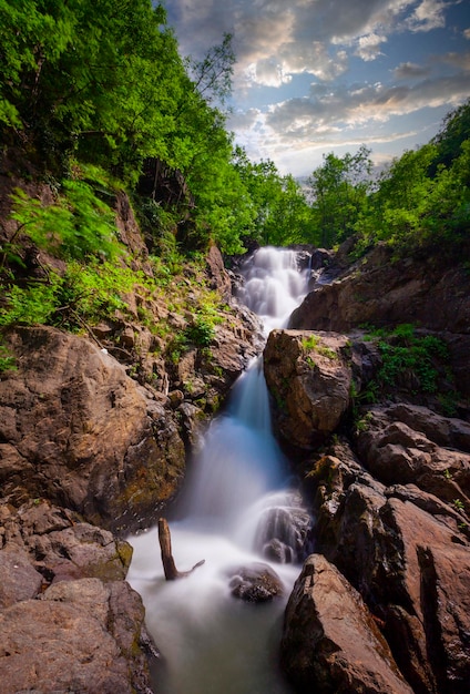 Uitzicht op de waterval in het bos Erikli waterval Yalova