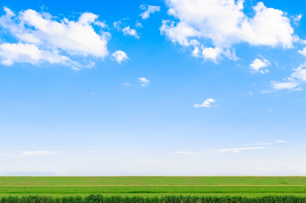 Uitzicht op de weide en de lucht op bewolkte dagen