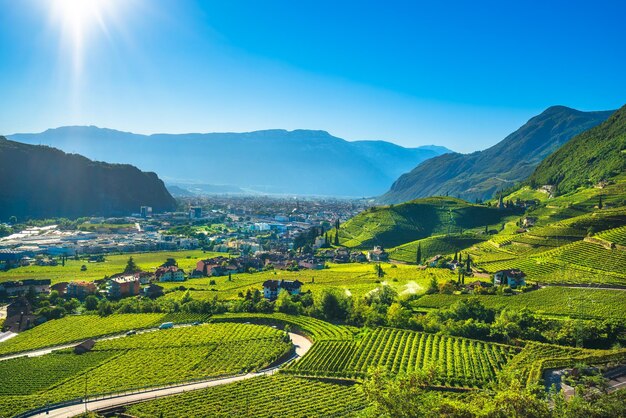 Uitzicht op de wijngaarden in Santa Maddalena Bolzano Trentino Alto Adige Zuid-Tirol Italië