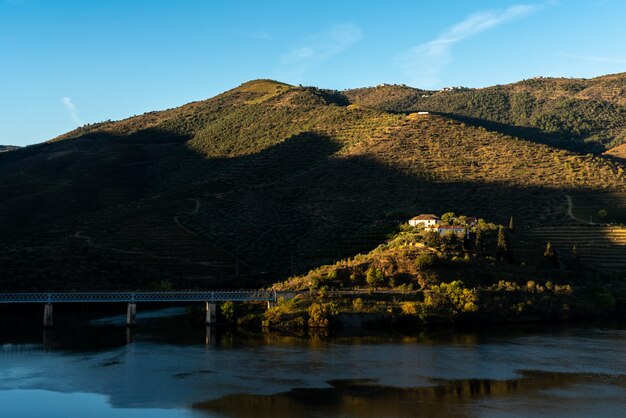 Foto uitzicht op de wijngaarden van de dourovallei met herfstkernen - portugal - gouden uur.