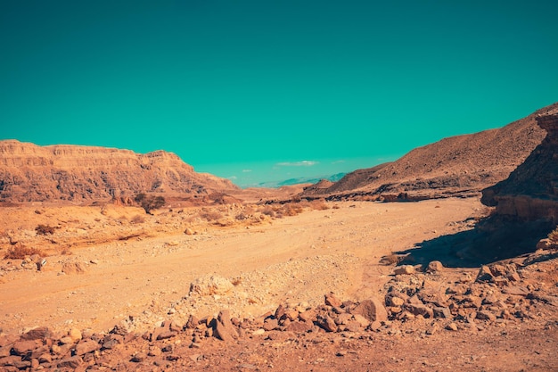 Uitzicht op de woestijn op een zonnige dag. Timna Park in de Arava-woestijn in de buurt van Eilat, Israël