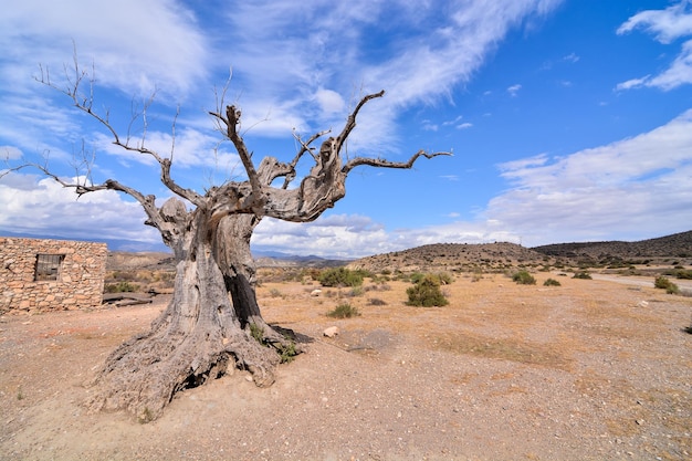 Uitzicht op de woestijn Tabernas in de provincie Almeria, Spanje