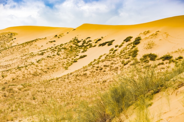 Foto uitzicht op de zandduinen in de woestijn