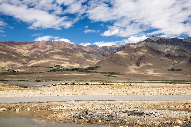 Uitzicht op de Zanskar-vallei