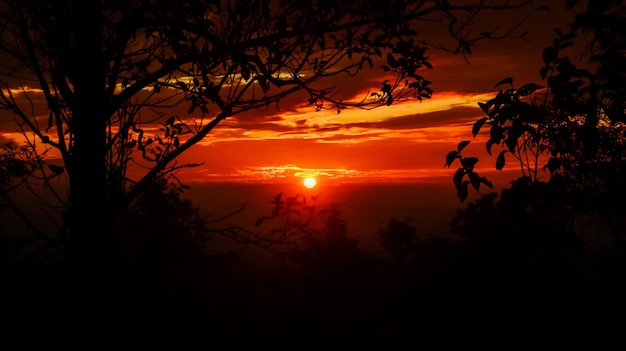 Uitzicht op de zonsondergang op de top van de berg