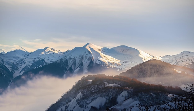 Foto uitzicht op een besneeuwde berg en dennenbomen met een blauwe achtergrond