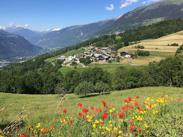 Uitzicht op een europees dorp in alpine berglandschap met klaprozen die bloeien in de weide