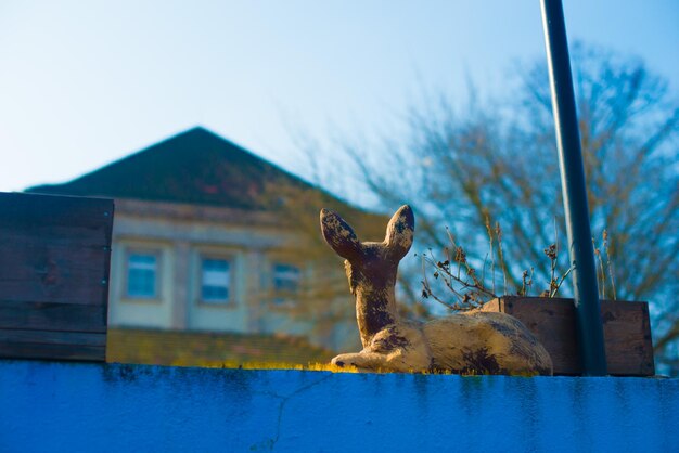 Foto uitzicht op een giraffe tegen de hemel