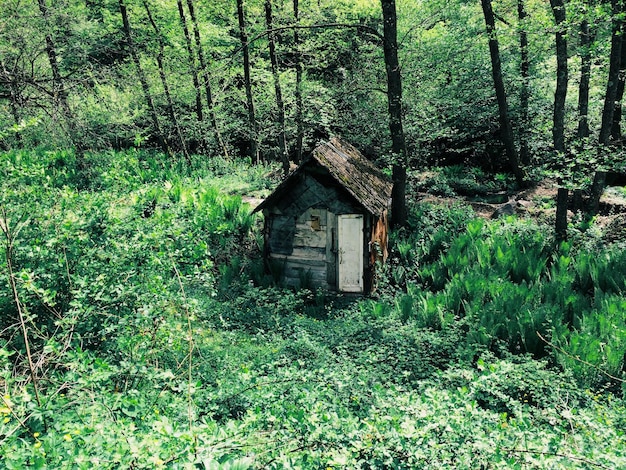 Foto uitzicht op een huis in het bos