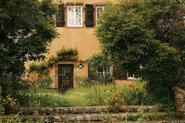 Uitzicht op een huis met bomen op de achtergrond