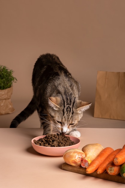 Foto uitzicht op een kat die voedsel uit een kom eet