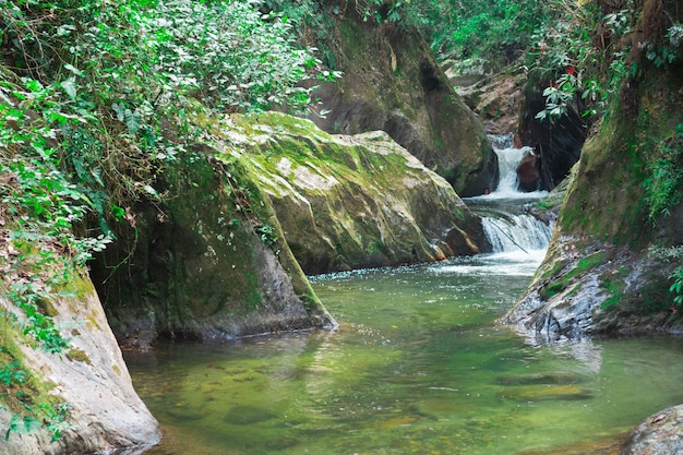 Uitzicht op een kleine waterval in een tropisch bos