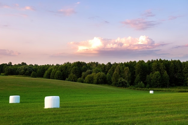 Uitzicht op een kleurrijke zomerzonsondergang met prachtige wolken en zonnestralen met een groot grasveld op de voorgrond en verre bomen aan de horizon