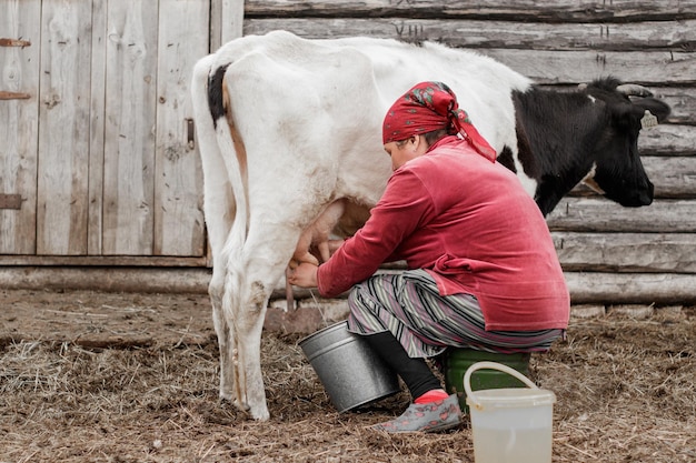 Foto uitzicht op een koe die op een boerderij staat