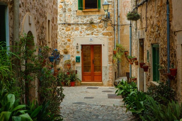 Uitzicht op een middeleeuwse straat van het pittoreske Spaanse dorp Valdemossa op Mallorca of Mallorca