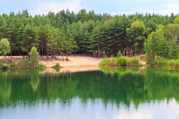 Uitzicht op een prachtig meer in een dennenbos in de zomer