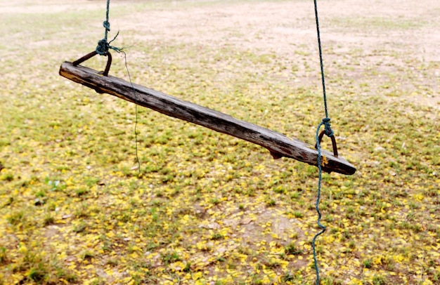 Uitzicht op een schommel in het park