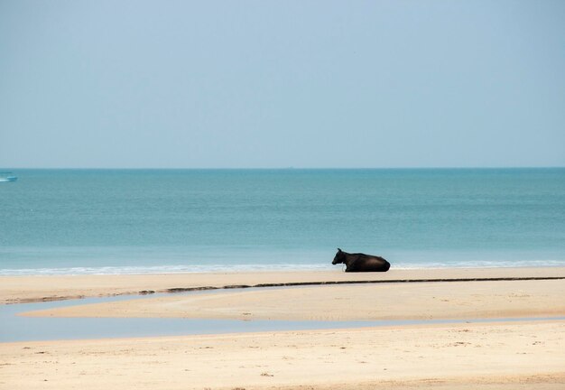 Uitzicht op een strand